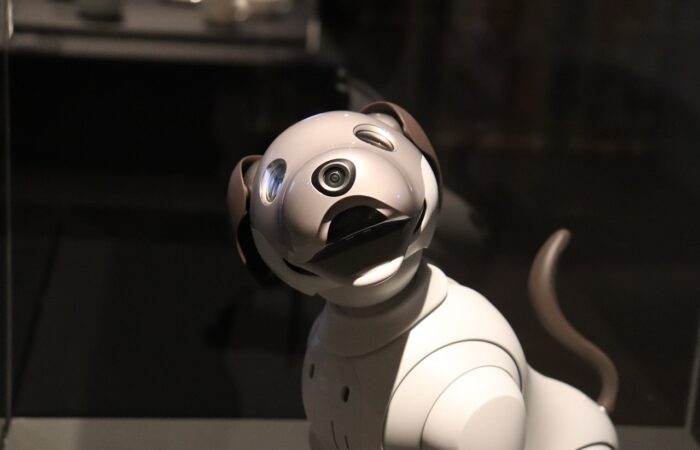 Les_chiens_robots_et_l_intelligence_artificielle_:_une_nouvelle_ère_pour_la_robotique